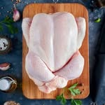 مرغ پروانه ای (هایلایت استوری پرستو جباری)