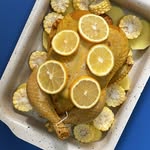 مرغ شکم پر😋 (هایلایت استوری پرستو جباری)