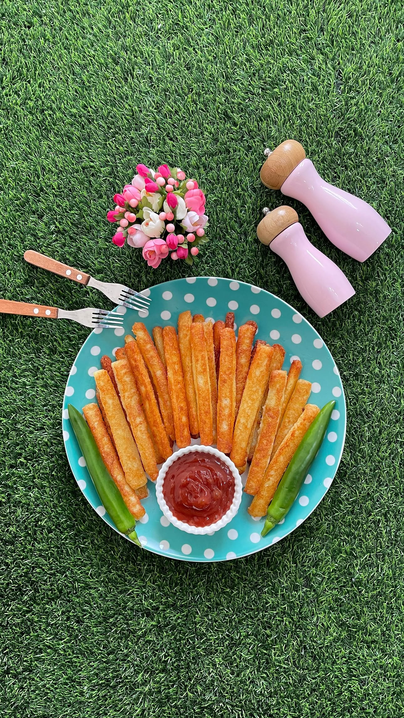چیپس خونگی خانگی به سبک پرستو جباری