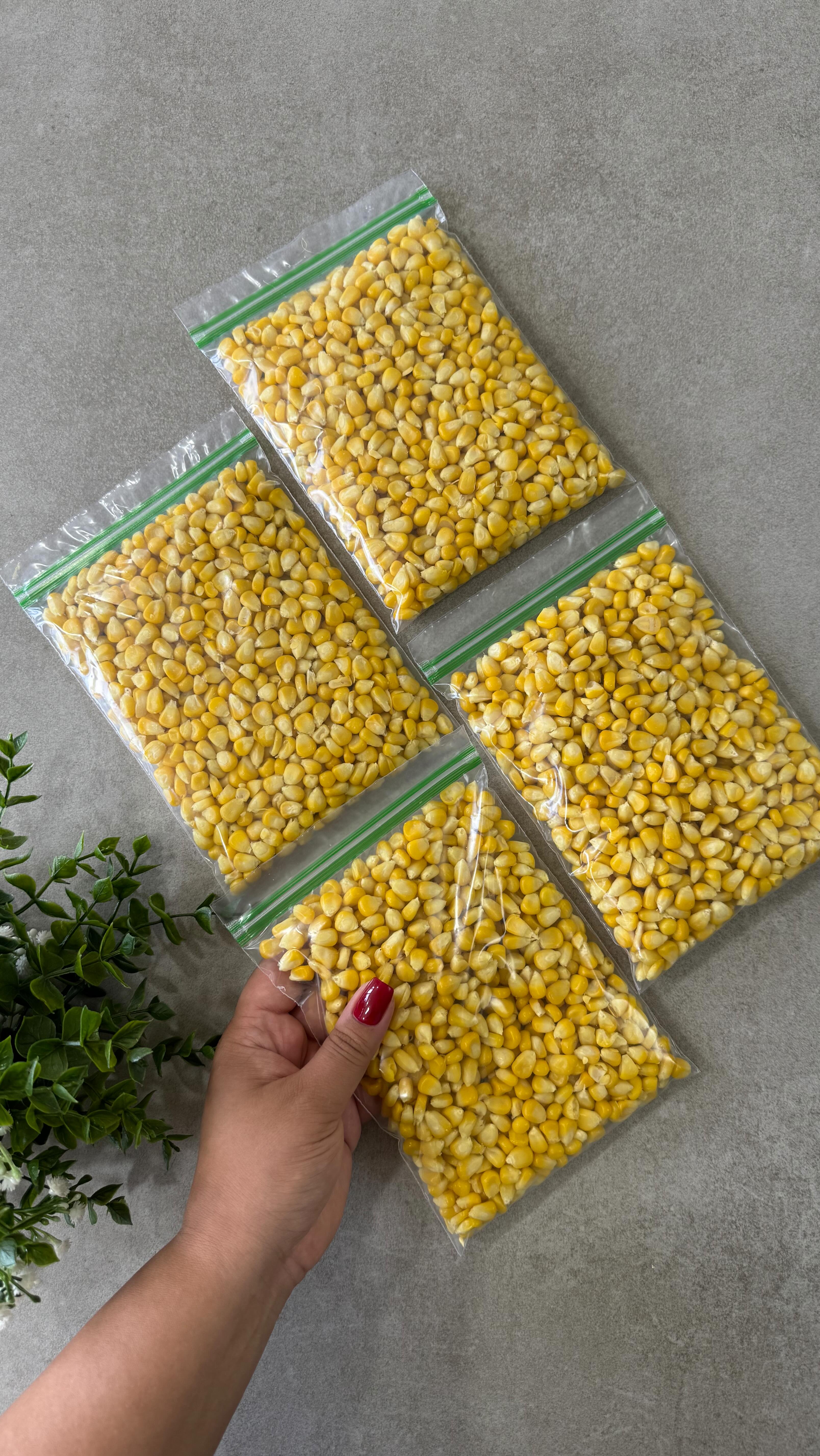 بلال به سبک پرستو جباری